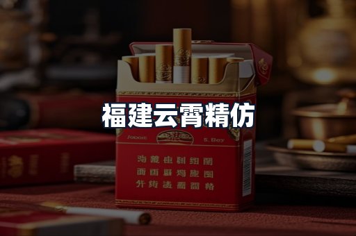 福建云霄精仿